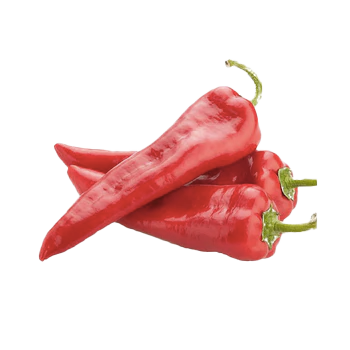 product_bell-pepper-sultan.png