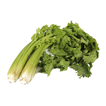 product_celery.png