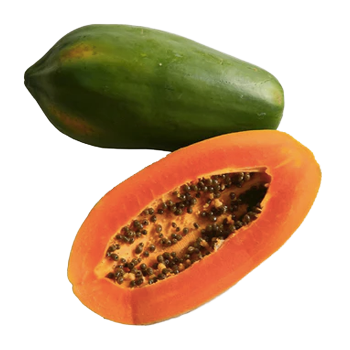 product_papaya-red-lady.png