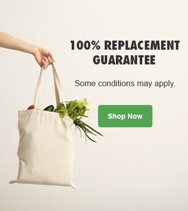 100% Replacement Guarantee